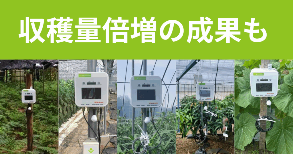 鹿児島県南種子町でのIoT農業支援を展開~農業AI/IoTソリューション「e-kakashi」導入で収穫量倍増の成果も~